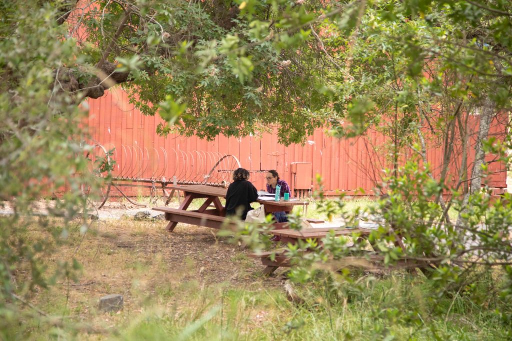 Two lSVARA-niks sit at a wooden table outdoors in the distance. They are framed by green branches and bushes.