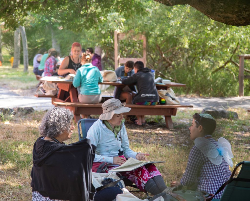 A group of SVARA-niks are seated outside, learning Talmud together. It is a sunny day and green trees surround the folks learning.