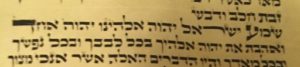 The text of the Shema, written within the text of the Torah scroll