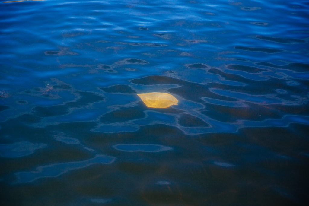 A single yellow leaf floats just below the surface of a body of water. The water is deep blue, and there are faint ripples visible surrounding the leaf.