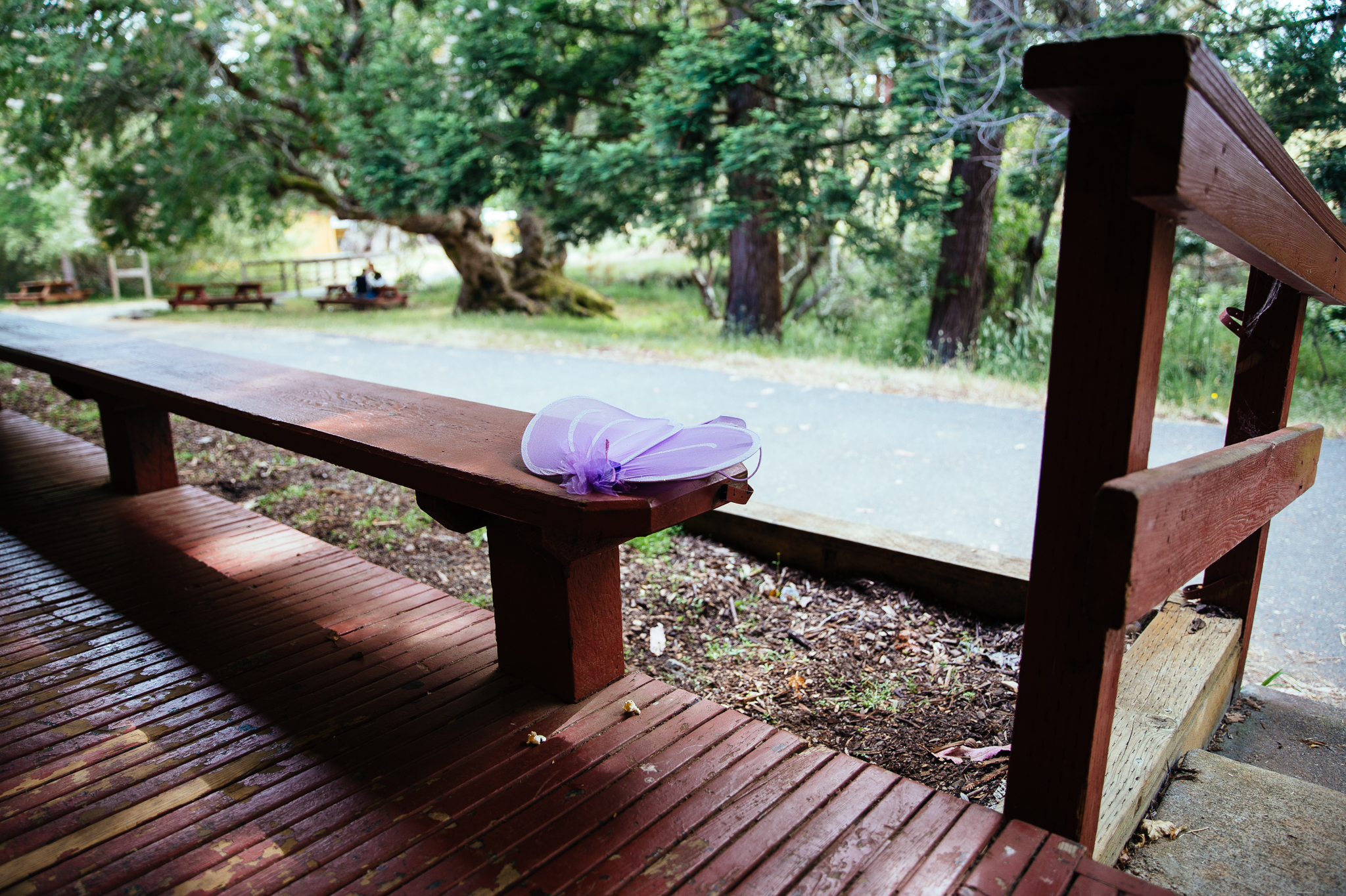 A pair of SVARA fairy wings sit on a bench on a dark wooden deck. In the background, there is a road, and behind that, a row of trees.